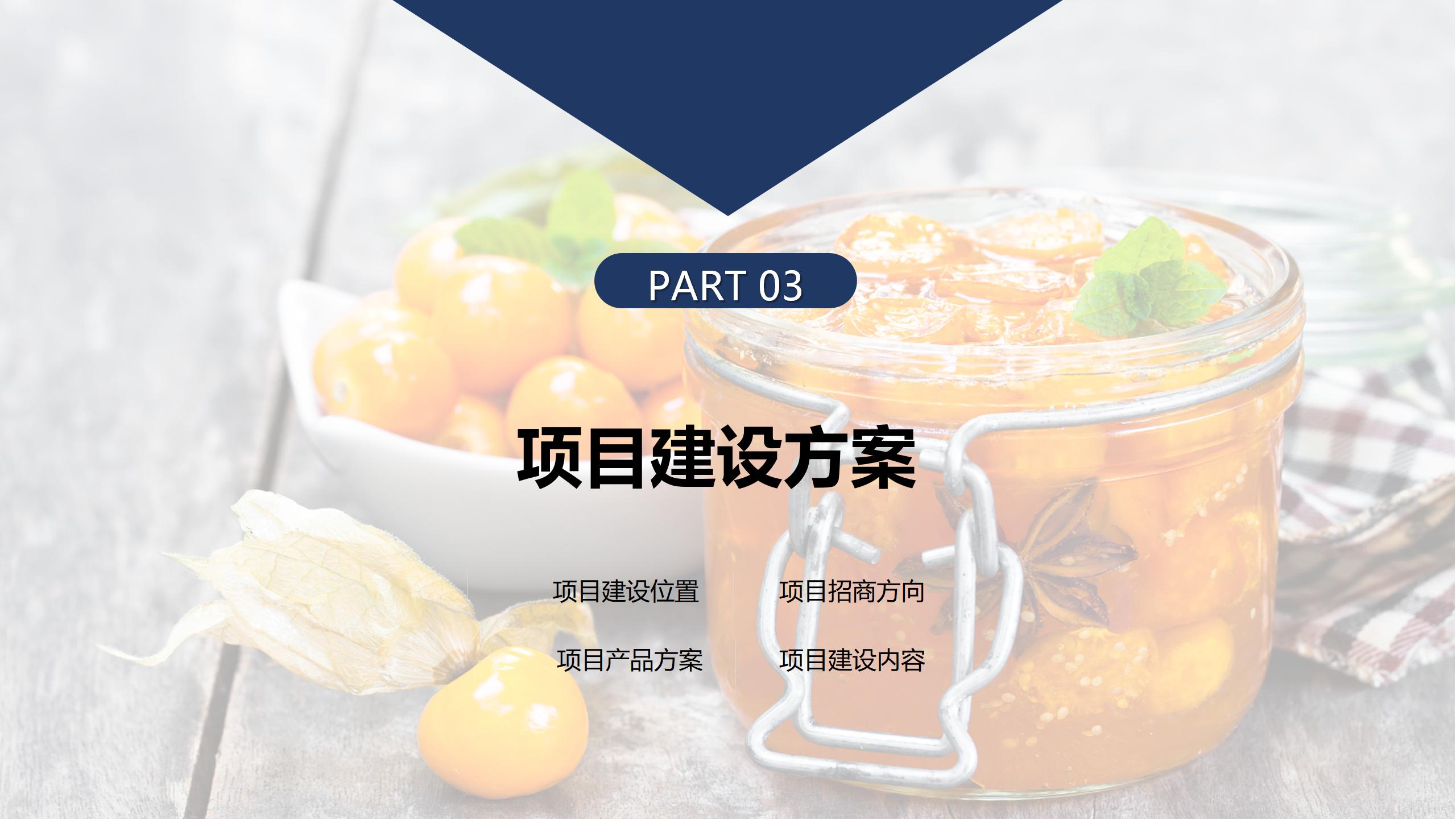 貴陽市觀山湖區(qū)金栗食品產(chǎn)業(yè)園PPT.（20250214）pptx_10.jpg